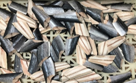 学校給食向け腹骨無しサゴシ切身