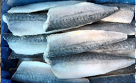 量販惣菜向けカマ無しサバフィレー