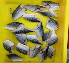 腹骨無しサバ切身