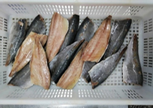 骨無しアジフィレー