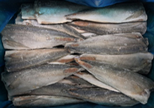 センターカットアジフィレー