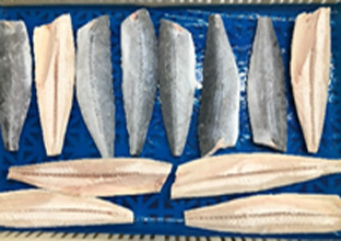 腹骨無し　骨無し　さごしフィレー