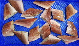 赤魚フィレー（骨無し切身）
