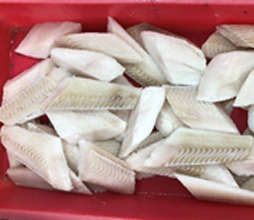 皮無し骨無し切身