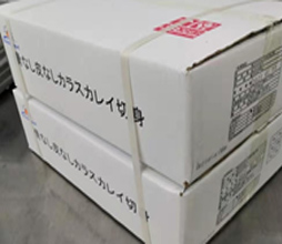 真空包装　バルク包装