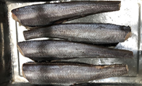 骨無しホキフィレー